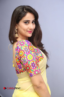 Telugu Actress Anchor Manjusha Stills in Yellow Saree at Janaki Ramudu Audio Launch  0029